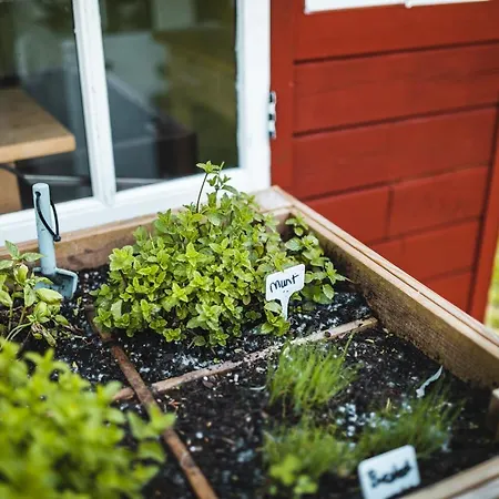 Camping Tipi-Tent Met Outdoor Cooking Mogelijkheid