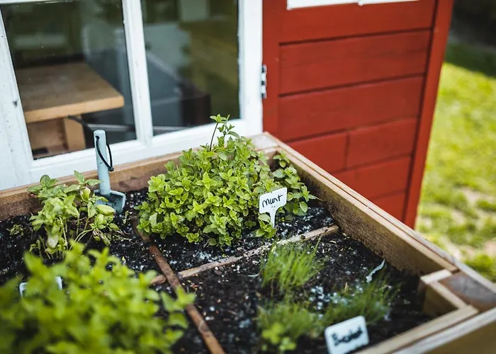 Camping Tipi-Tent Met Outdoor Cooking Mogelijkheid